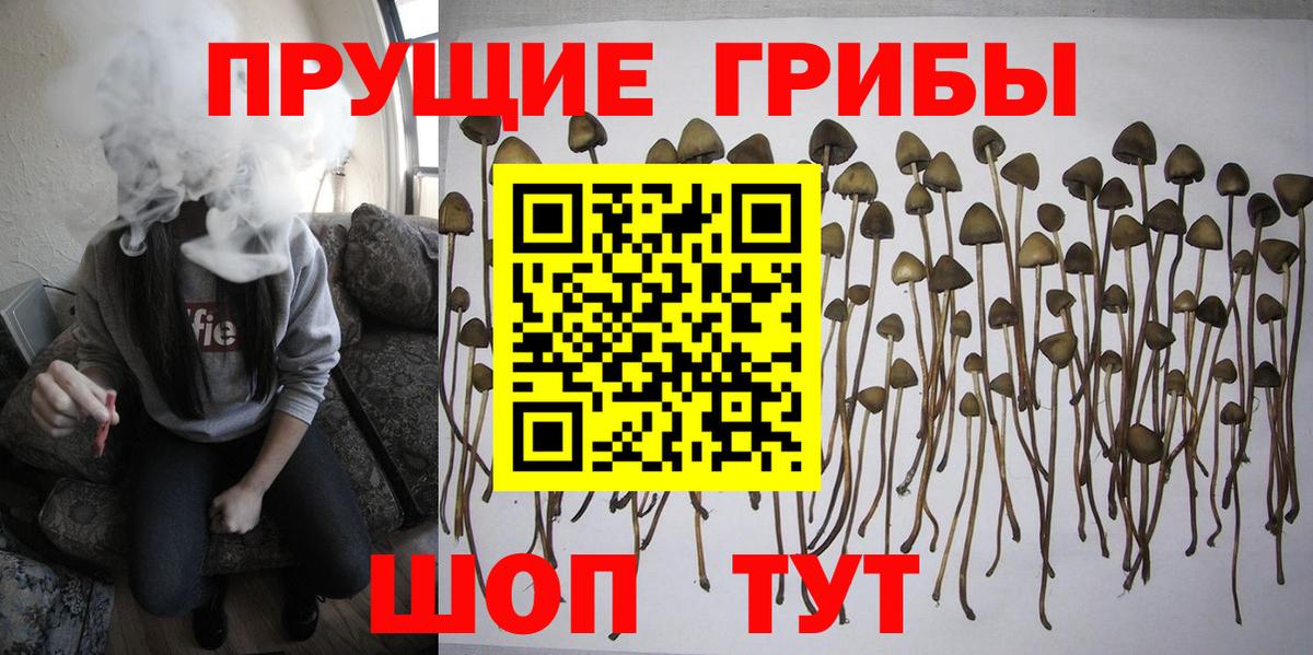 Галлюциногенные грибы мухоморы Челябинск