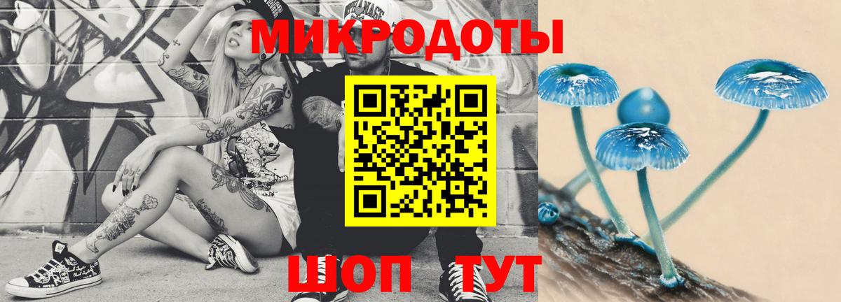 Галлюциногенные грибы Psilocybe  Вход с VPN  Челябинск 